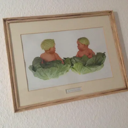 Eden Des Choux ゲストハウス Krautergersheim