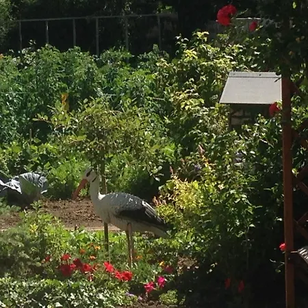 Eden Des Choux Maison d'hôtes