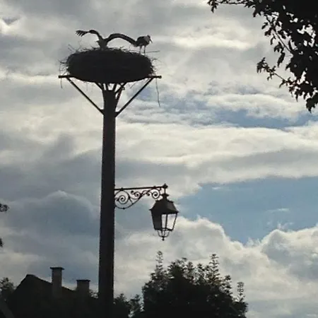 ゲストハウス Eden Des Choux Krautergersheim