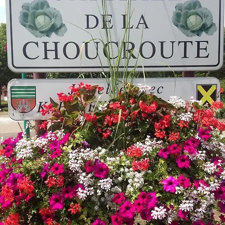 Guest house Eden Des Choux 3*