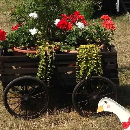 Maison d'hôtes Eden Des Choux 3*