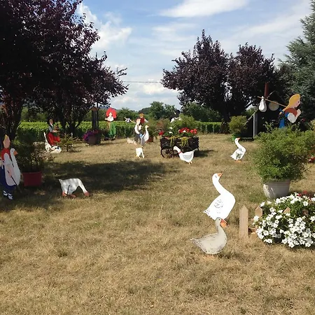 Maison d'hôtes Eden Des Choux Krautergersheim