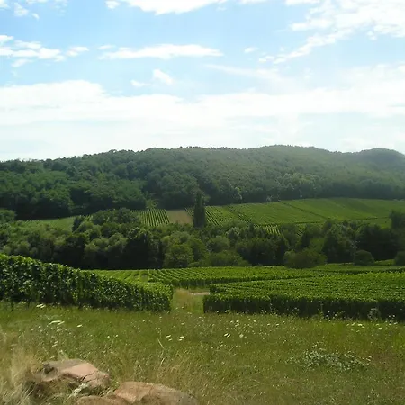 Eden Des Choux Krautergersheim