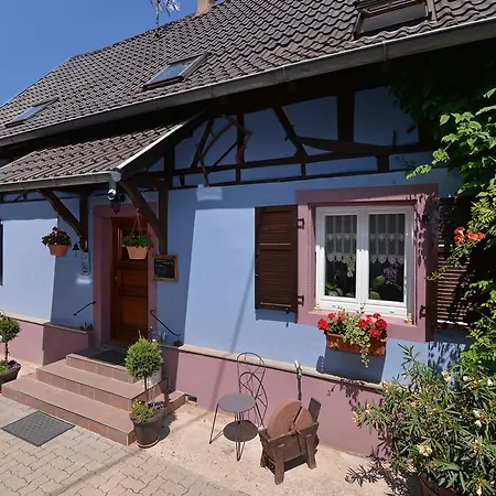 Eden Des Choux Krautergersheim