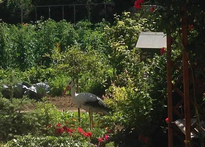 Eden Des Choux Konukevi