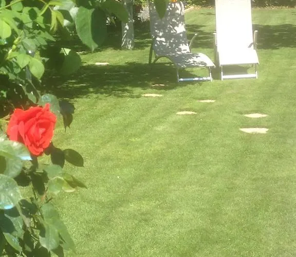 Eden Des Choux Krautergersheim