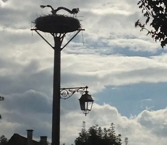 Konukevi Eden Des Choux Krautergersheim