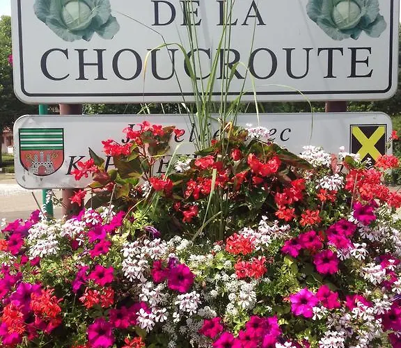 Konukevi Eden Des Choux 3*