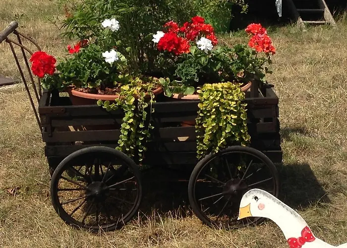 Konukevi Eden Des Choux 3*