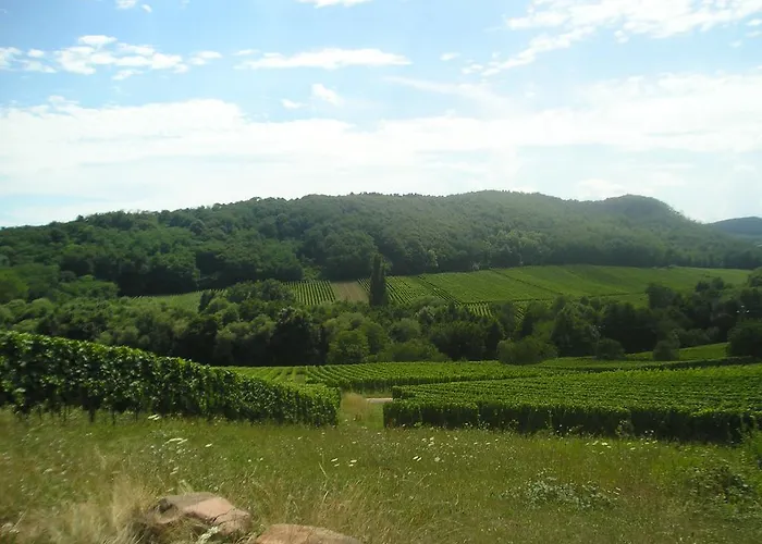 Eden Des Choux Krautergersheim