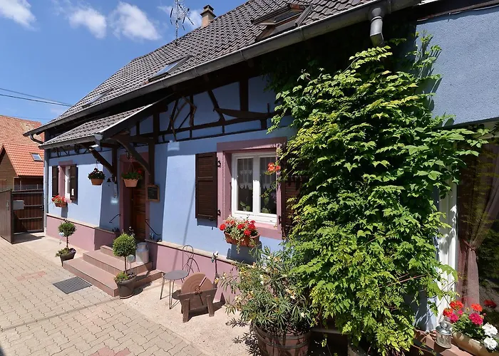 Konukevi Eden Des Choux