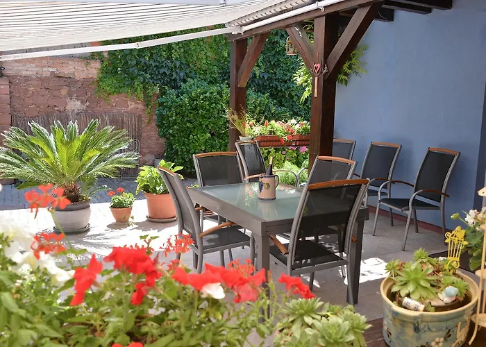 Konukevi Eden Des Choux Krautergersheim