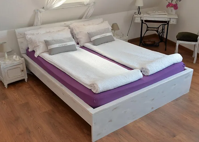 Eden Des Choux Krautergersheim