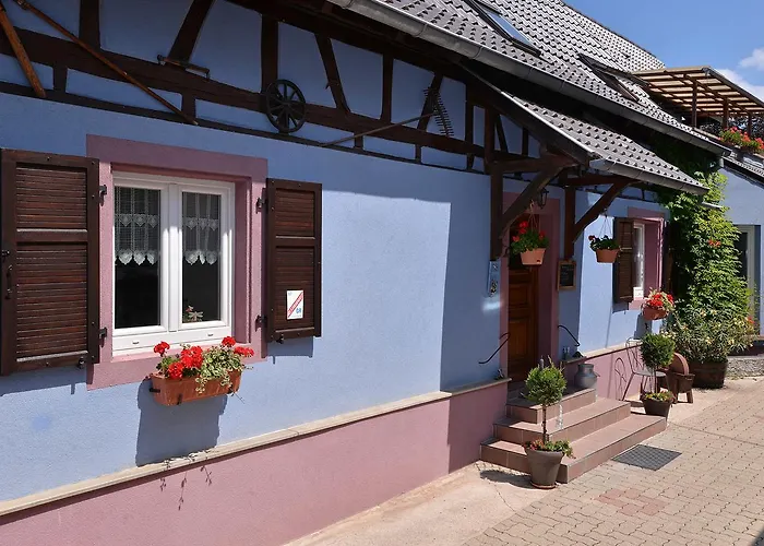 Konukevi Eden Des Choux